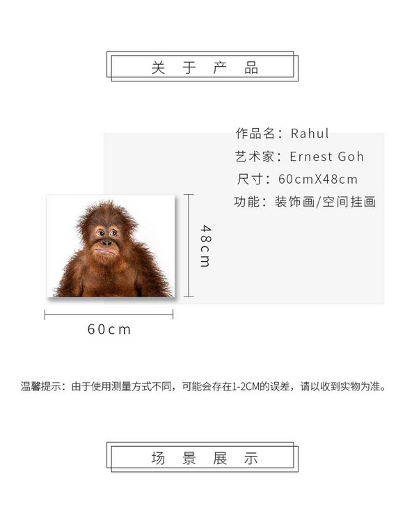 维格列艺术 摄影艺术品 现代抽象具象装饰画 私人住宅 酒店会所 办公空间特殊定制尺寸请联系客服