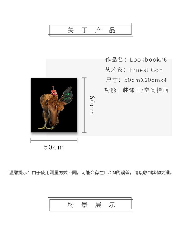 维格列艺术 摄影艺术品 现代抽象具象装饰画 私人住宅 酒店会所 办公空间特殊定制尺寸请联系客服