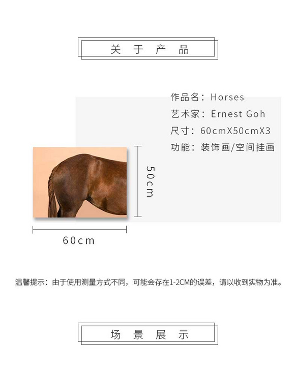 维格列艺术 摄影艺术品 现代抽象具象装饰画 私人住宅 酒店会所 办公空间特殊定制尺寸请联系客服