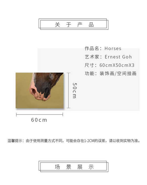 维格列艺术 摄影艺术品 现代抽象具象装饰画 私人住宅 酒店会所 办公空间特殊定制尺寸请联系客服