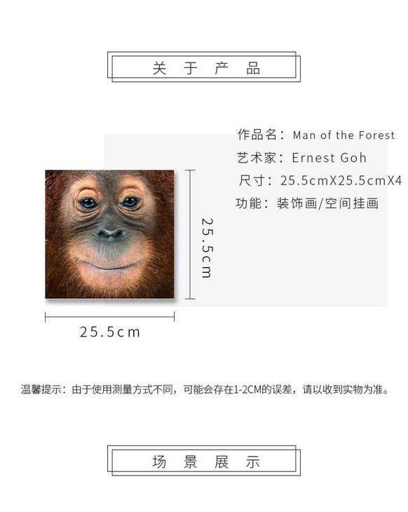 维格列艺术 摄影艺术品 现代抽象具象装饰画 私人住宅 酒店会所 办公空间特殊定制尺寸请联系客服