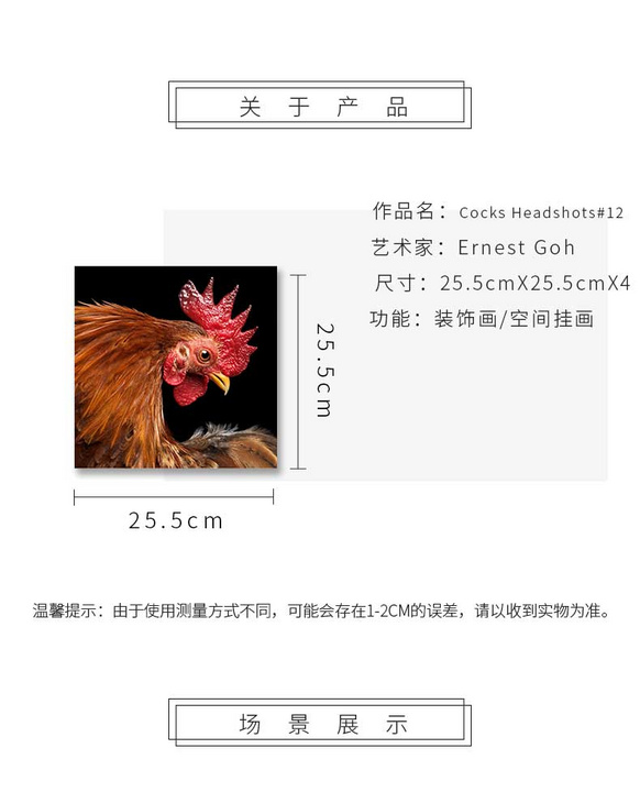维格列艺术 摄影艺术品 现代抽象具象装饰画 私人住宅 酒店会所 办公空间特殊定制尺寸请联系客服