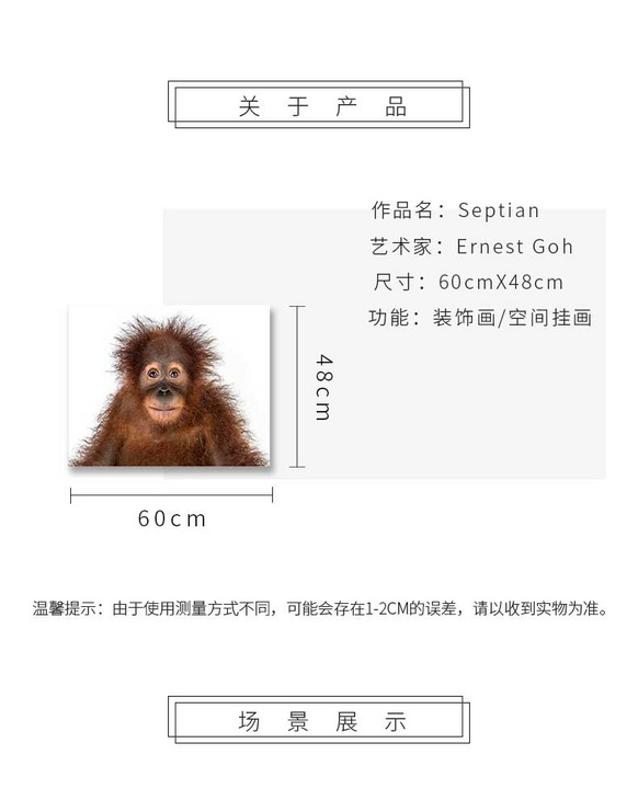 维格列艺术 摄影艺术品 现代抽象具象装饰画 私人住宅 酒店会所 办公空间特殊定制尺寸请联系客服