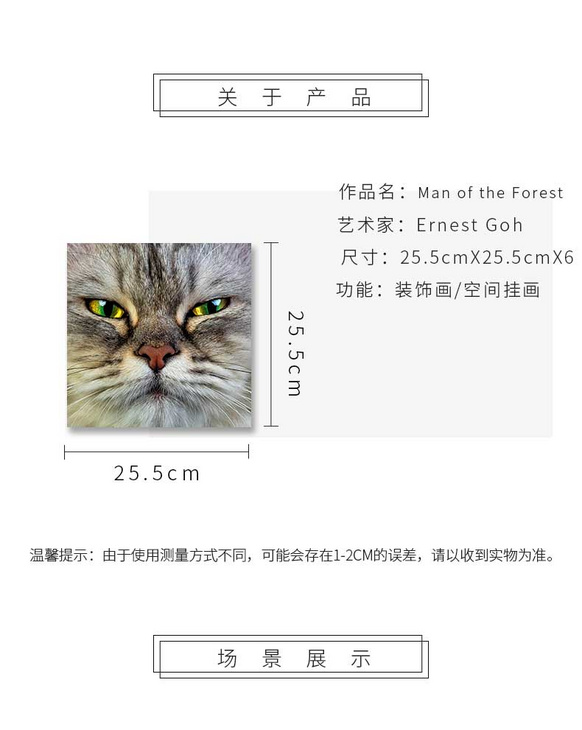 维格列艺术 摄影艺术品 现代抽象具象装饰画 私人住宅 酒店会所 办公空间特殊定制尺寸请联系客服