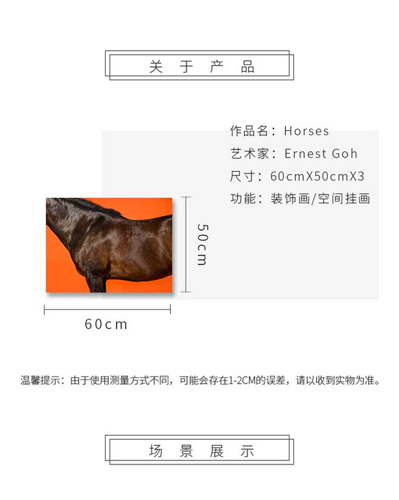 维格列艺术 摄影艺术品 现代抽象具象装饰画 私人住宅 酒店会所 办公空间特殊定制尺寸请联系客服