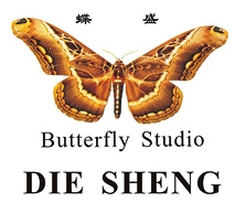 Shanghai Diesheng Furniture Co.,Ltd