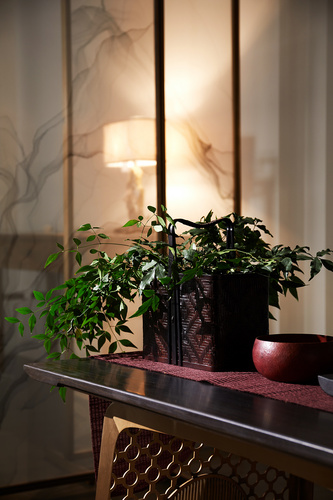 新中式  茶室空間  家居飾品