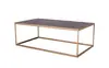 MD17-04 (1)-Iron coffee table