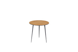 MS417-01  Wooden Color-Wrought iron Round Tea Table