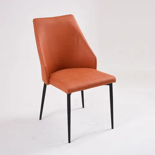 Modern Stylish Dining Chair DC-1006