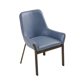 Modern Blue Leisure Chair DC-5130