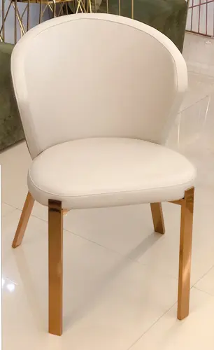 Dining chair DP-YW6
