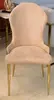 Dining chair DP-YW5