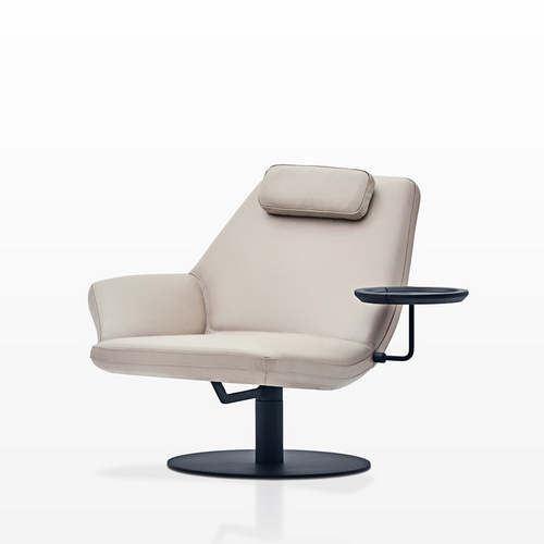 DB9621N leisure chair