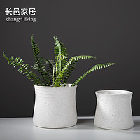 Landscape Garden Villa Decoration Dried Flower Ornament
