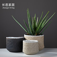 Modern minimalist ceramic flowerpot color soil flower planter