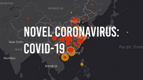 世卫组织将新型冠状病毒导致的疾病命名为 COVID-19 ｜ 武汉加油