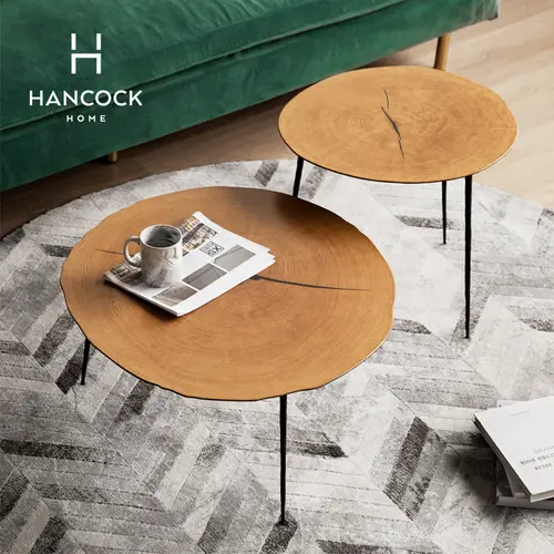 Hanke home modern simple light luxury creative designer iron ring living room combination Dimitri tea table