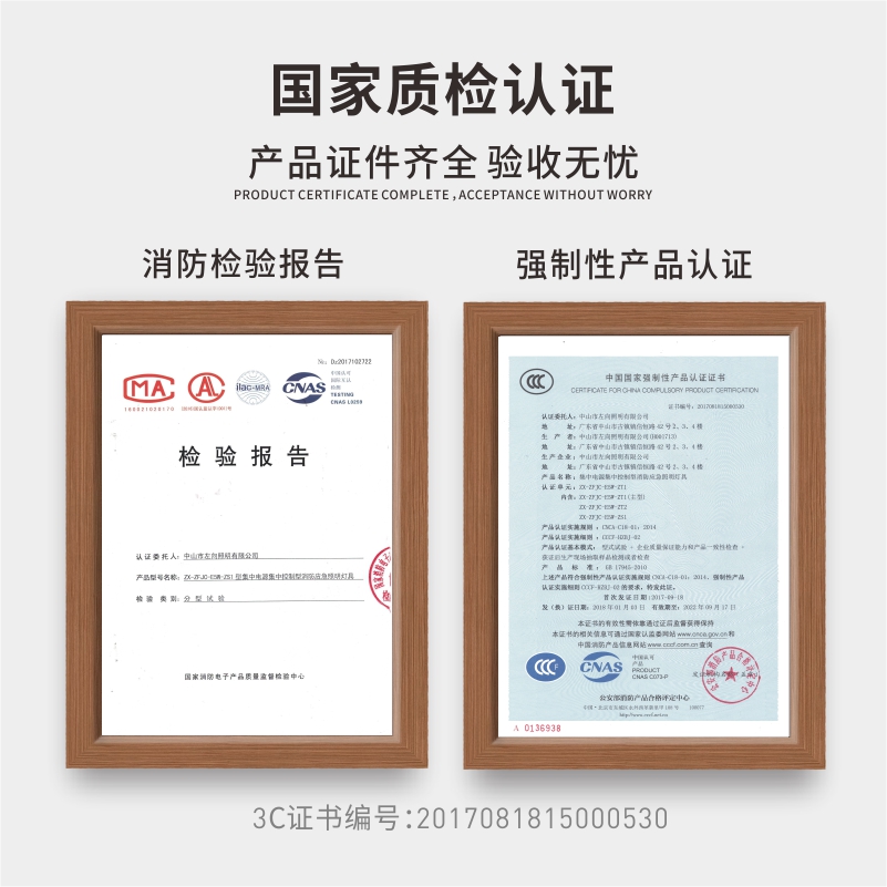 智能集中控制型消防应急照明灯