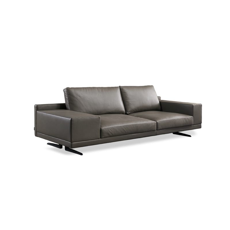Functional Sofa