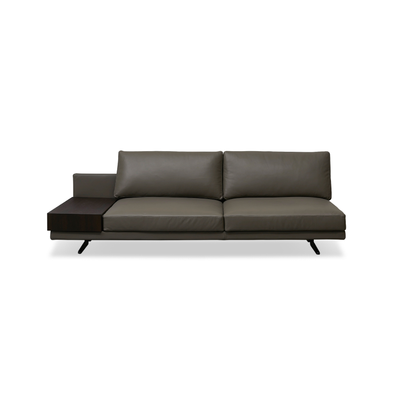 Functional Sofa