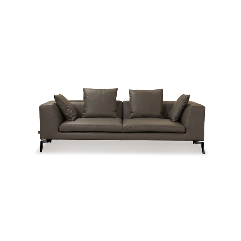 Functional Sofa