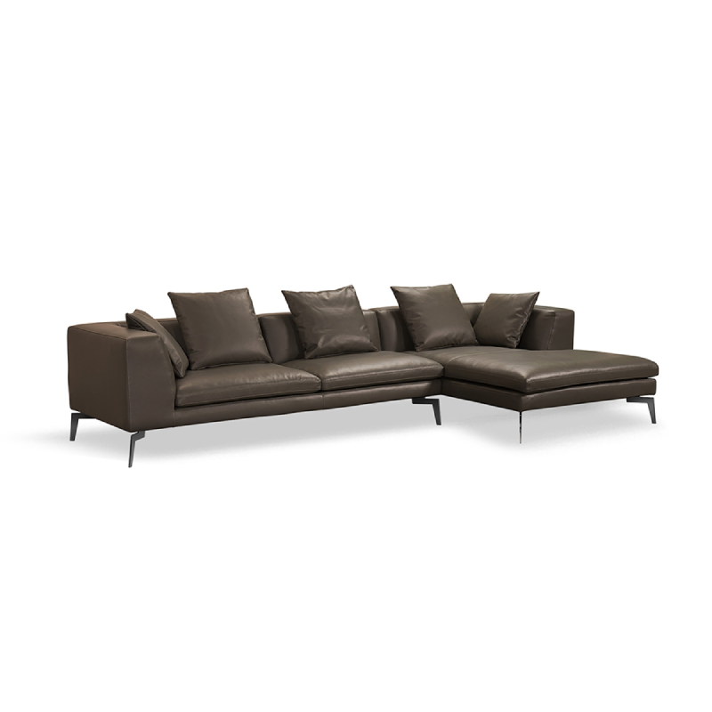 Functional Sofa