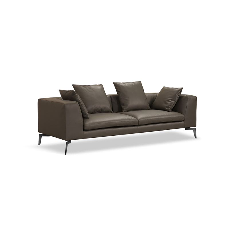 Functional Sofa
