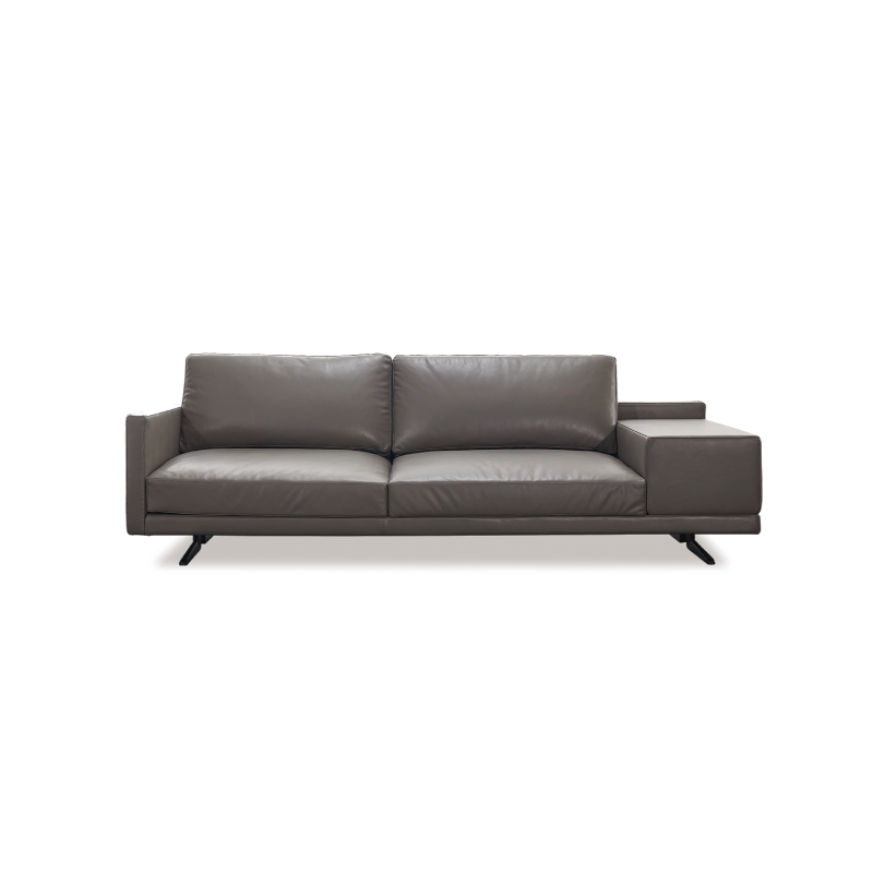Functional Sofa