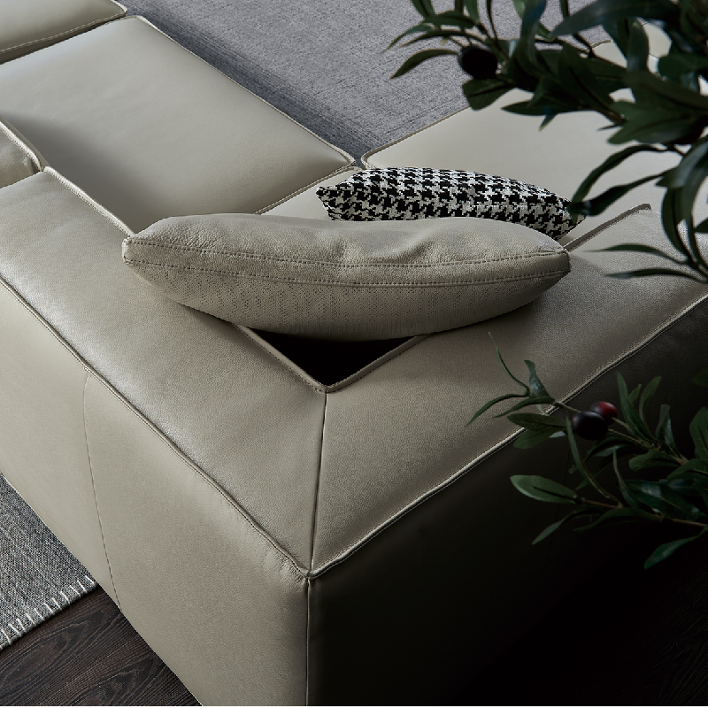 Multi-Functional Sofa