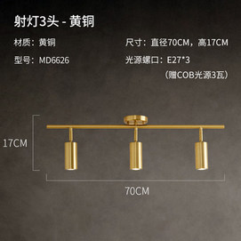 6626 现代黄铜 壁灯