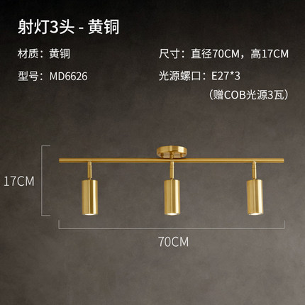 6626 现代黄铜 壁灯