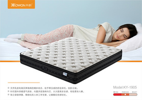 弹簧床垫 | mattress | 梦享KY-1905