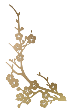 New Chinese hardware decoration