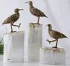 Natural crystal Brass Bird Ornament