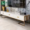 Postmodern light luxury TV cabinet stainless steel gold-plated black and white paint living room TV cabinet coffee table