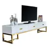 Modern light luxury solid wood paint TV cabinet floor cabinet living room stainless steel gold-plated audio-visual cabinet combination