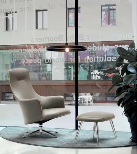 Lounge Swivel Chair  FB-2350