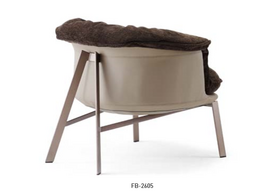 现代设计感 休闲椅  FB2605