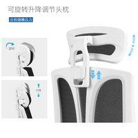 6070愛意森電腦椅家用舒適久坐人體工學椅辦公椅子靠背椅可躺電競椅游戲椅