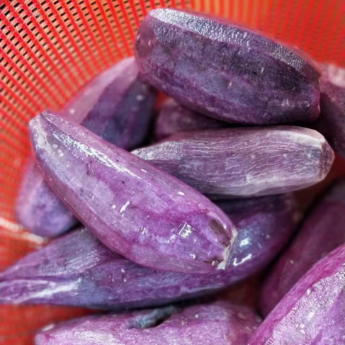 紫薯龙珠