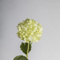 歐式簡約玻璃花瓶創(chuàng)意透明插花餐桌客廳裝飾花瓶仿真花花器擺件FL18021