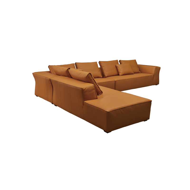 Functional Sofa