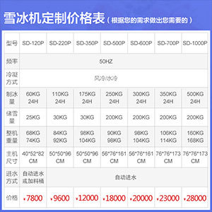 250-500KG雪花冰制冰机