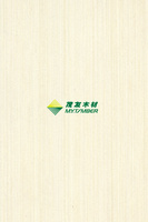 白源Q120