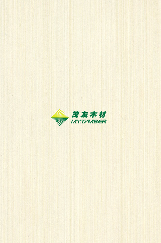 白源Q120