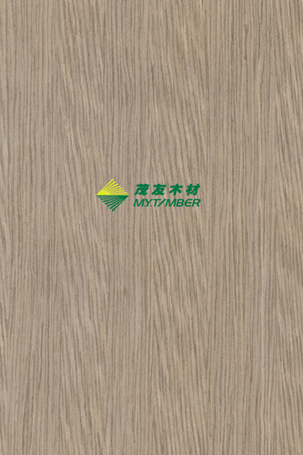 安毕恩斯5383