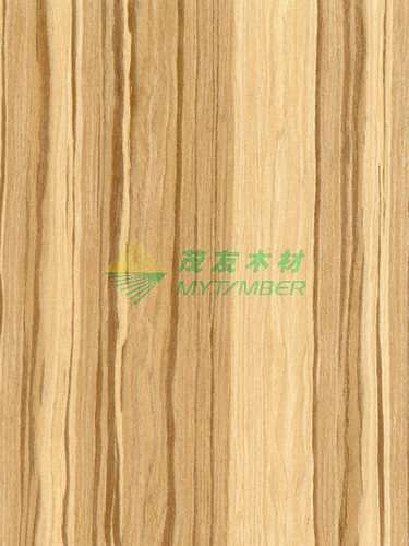 檀香木2900