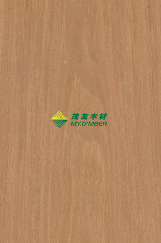 黄玫瑰1194