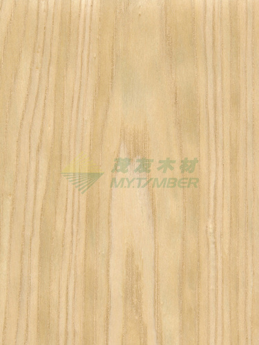 水曲柳1840